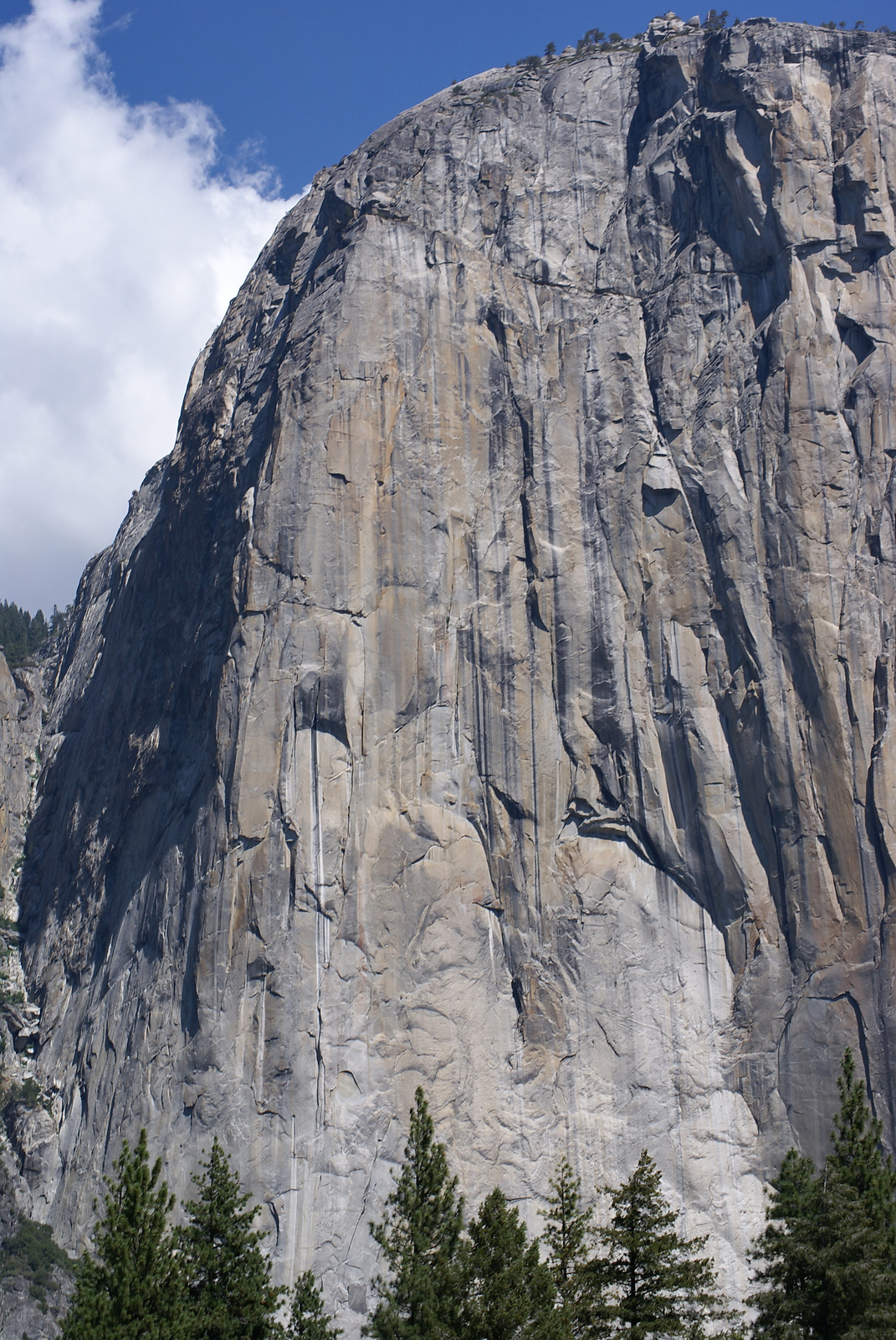 Yosemite19a