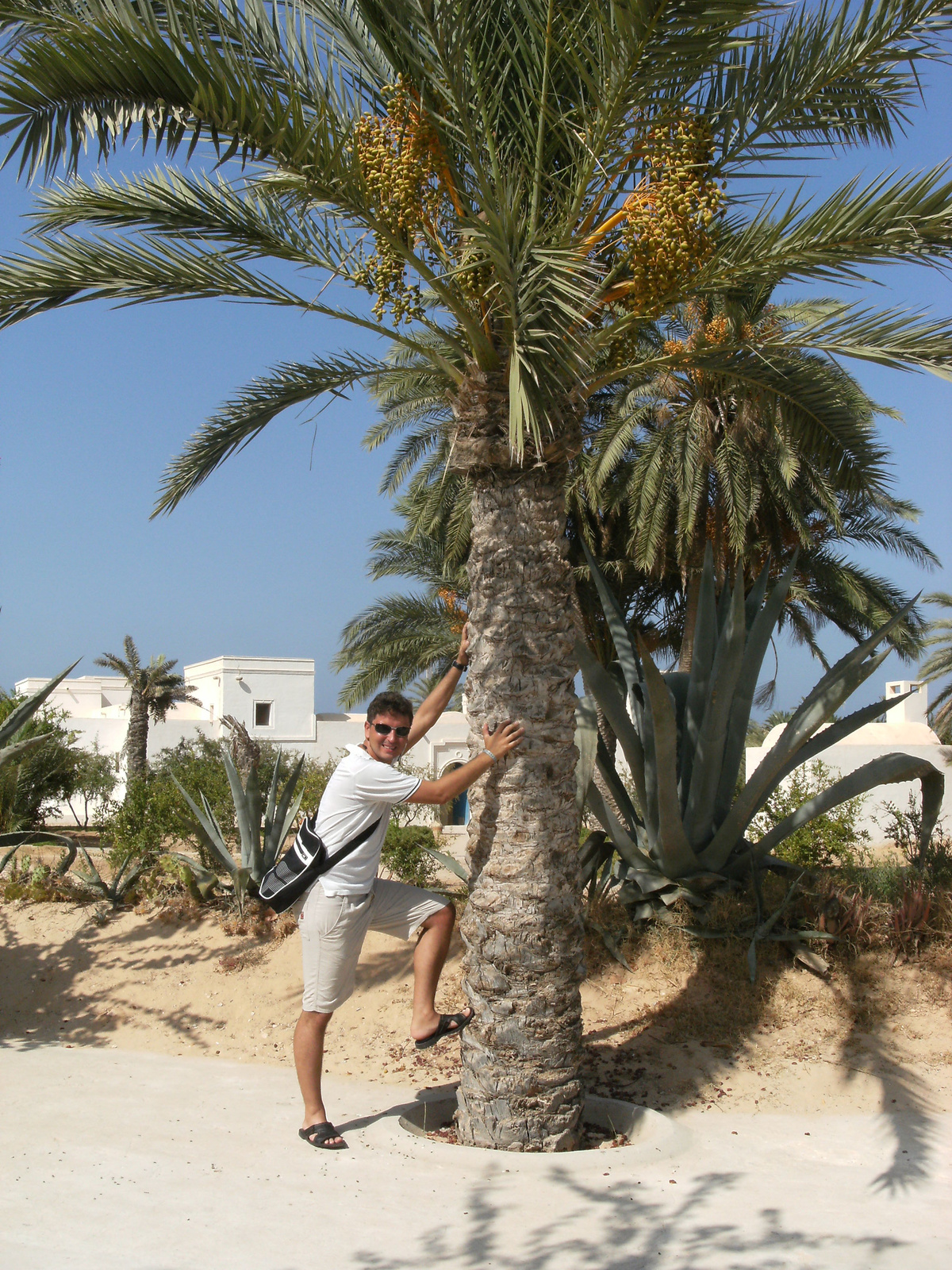 Djerba 2009 005 (51)