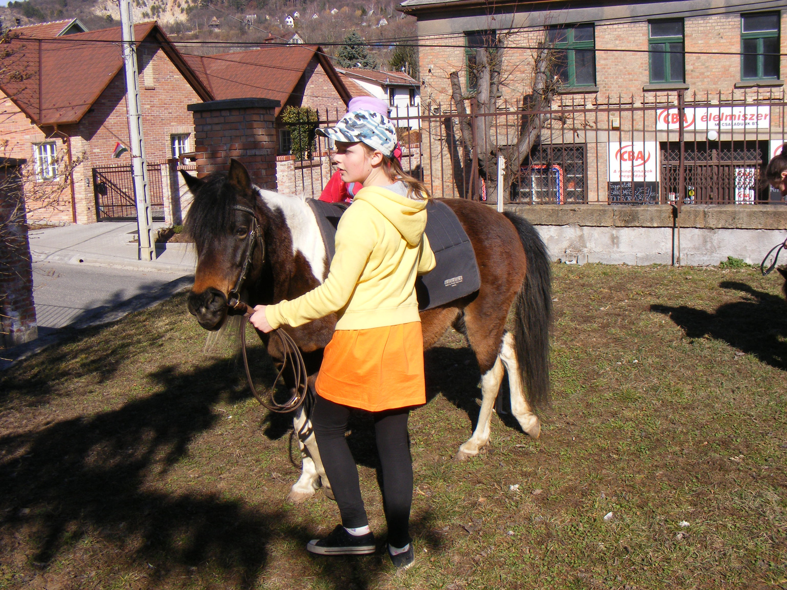 20120315magocska (10)