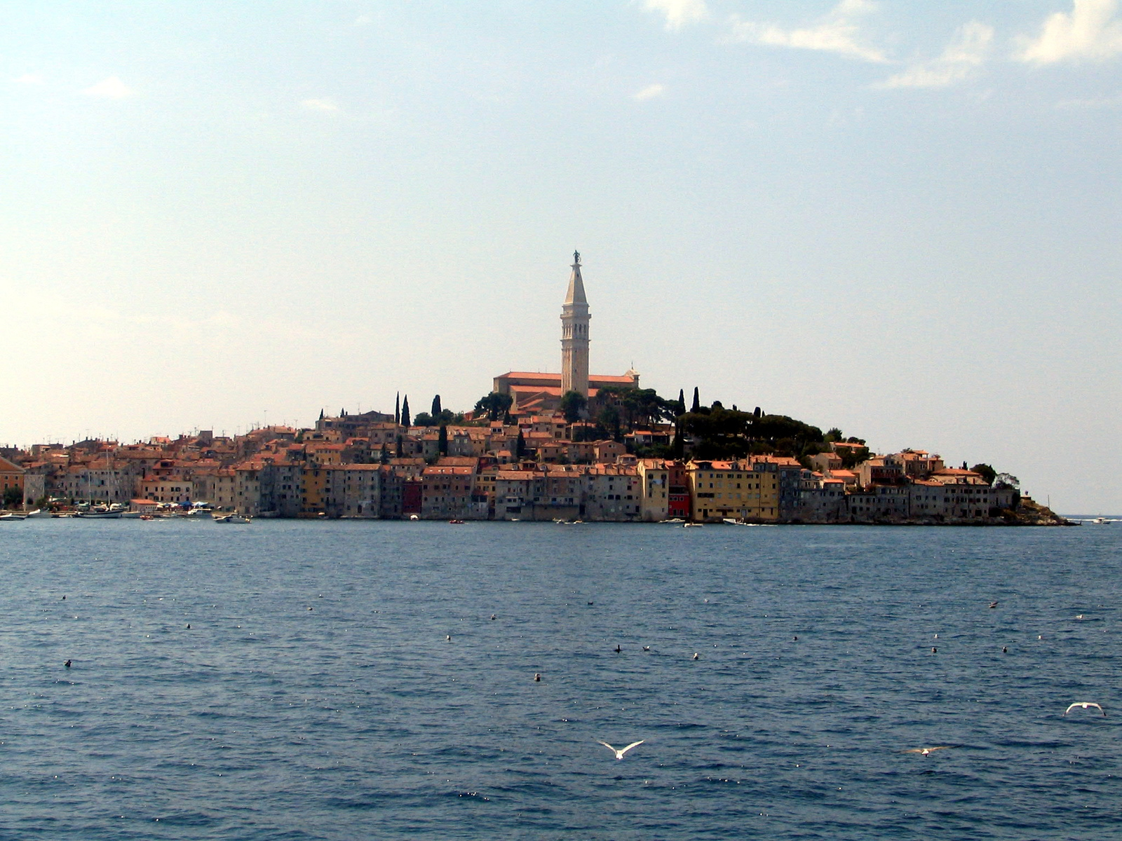 408-rovinj