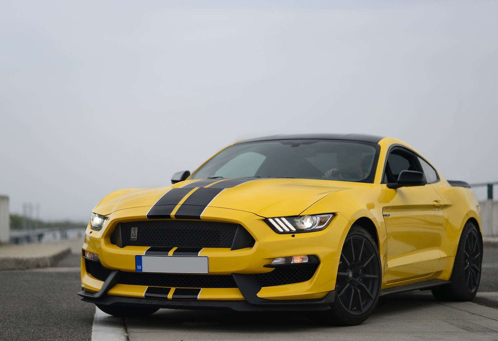 Shelby GT 350