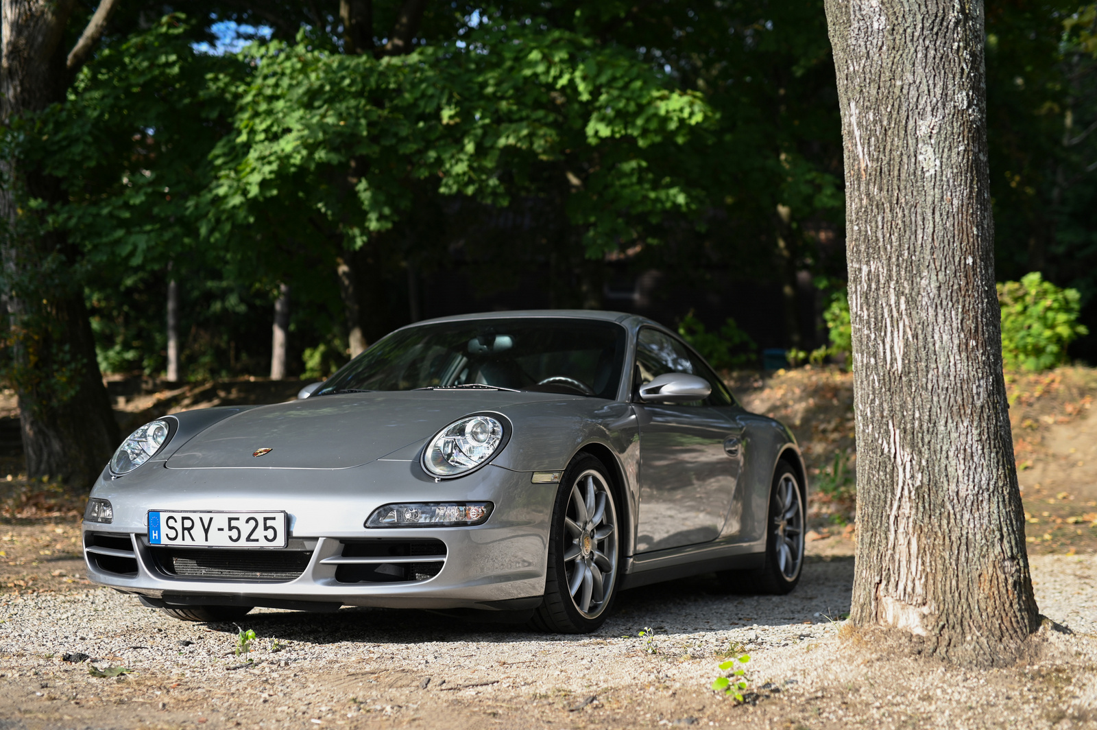 Porsche 911 Carrera 4