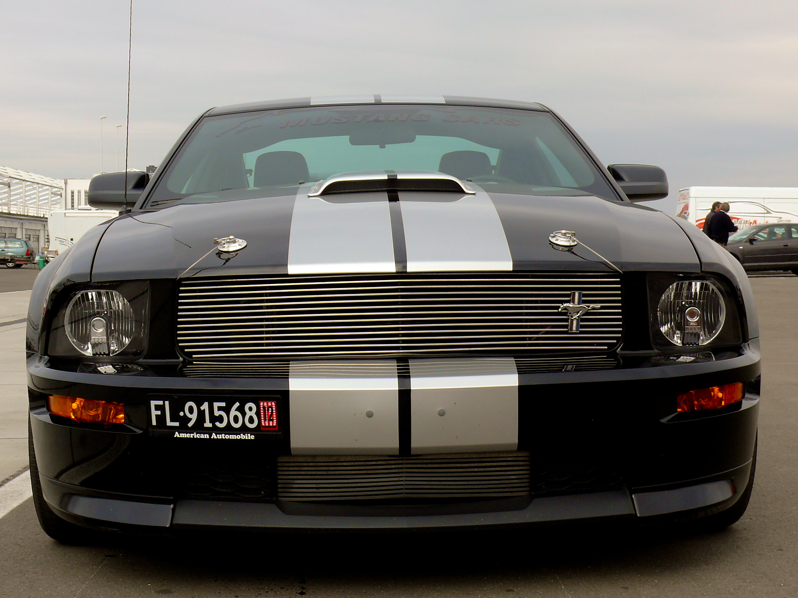 Shelby Ford Mustang