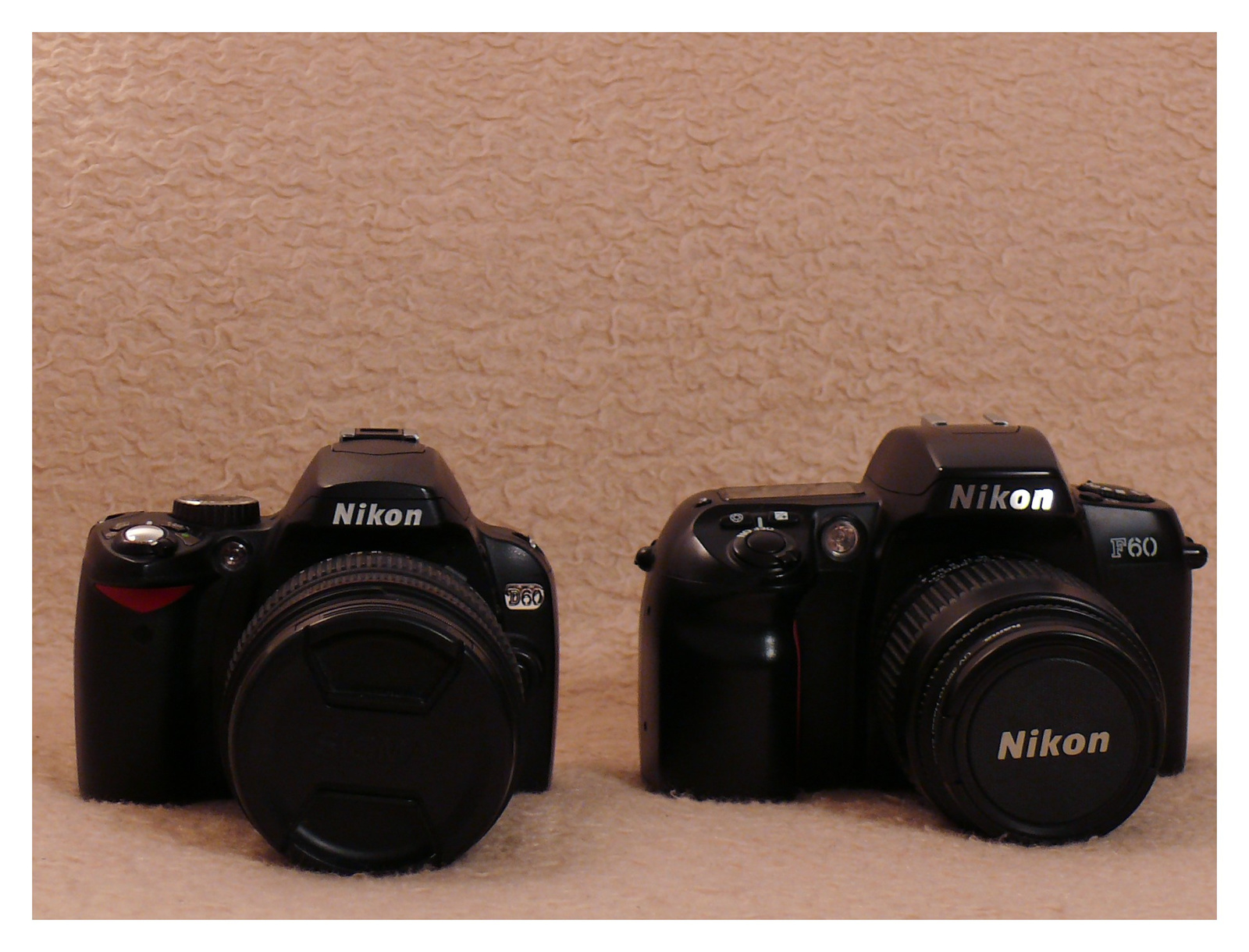 Nikon F60 - Nikon D60