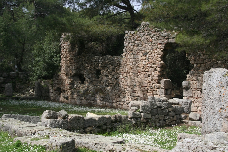 Phaselis 010