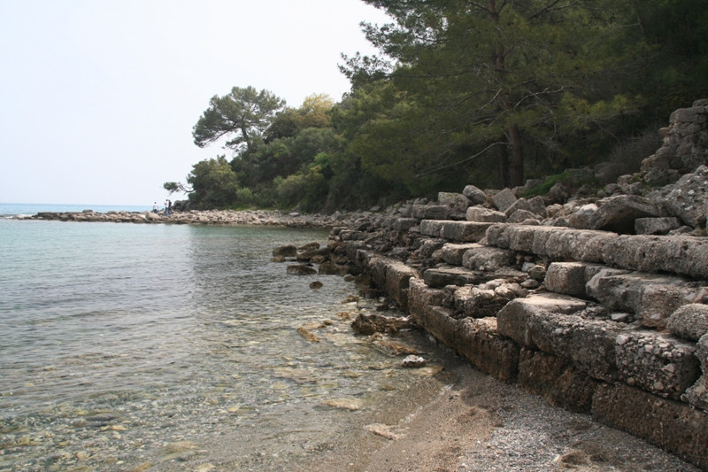 Phaselis 031