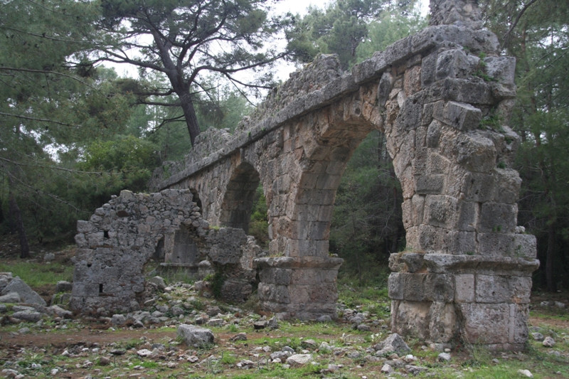 Phaselis 034