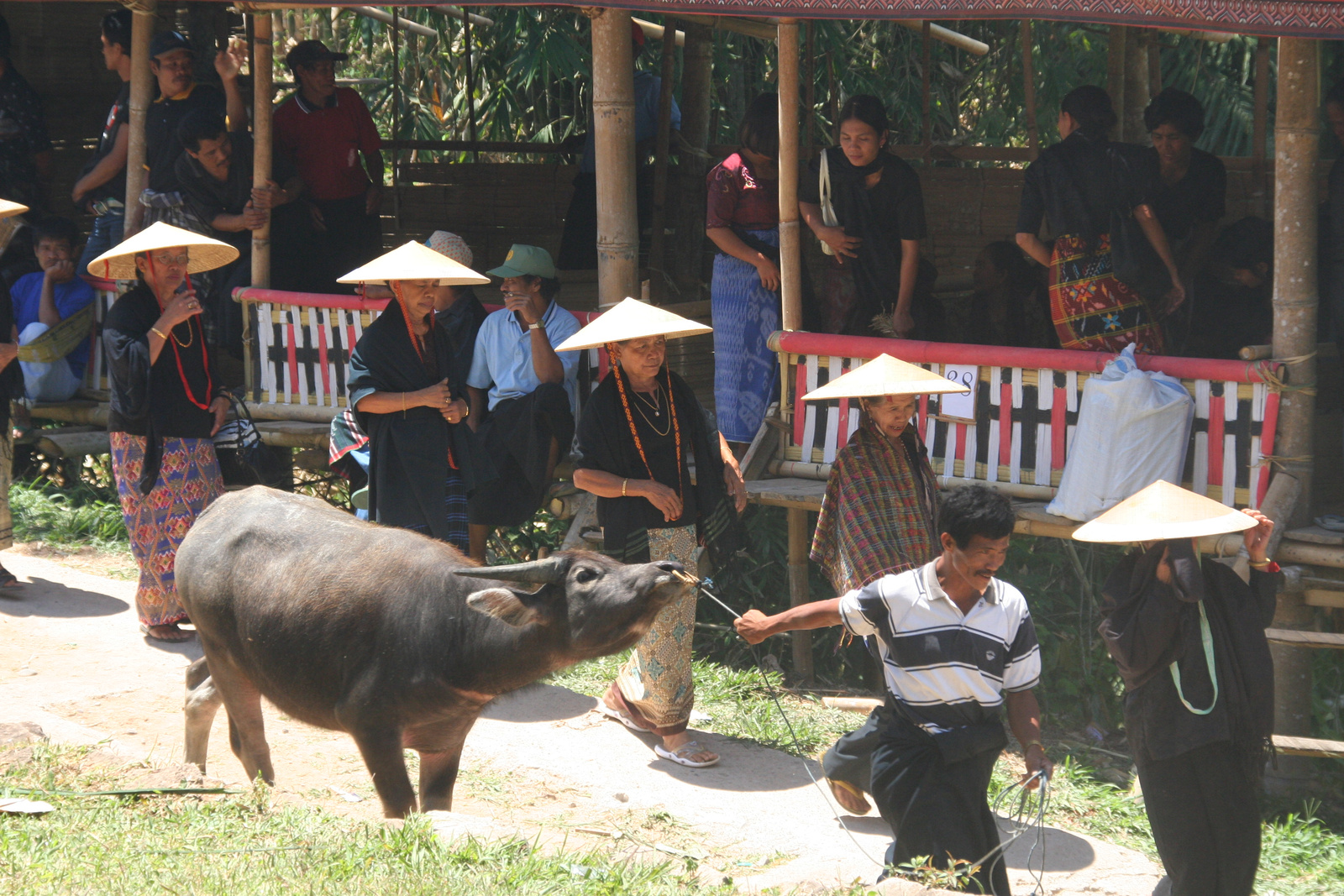 Indonézia Celebesz Sulawesi Toraja wwwpoapohu 316