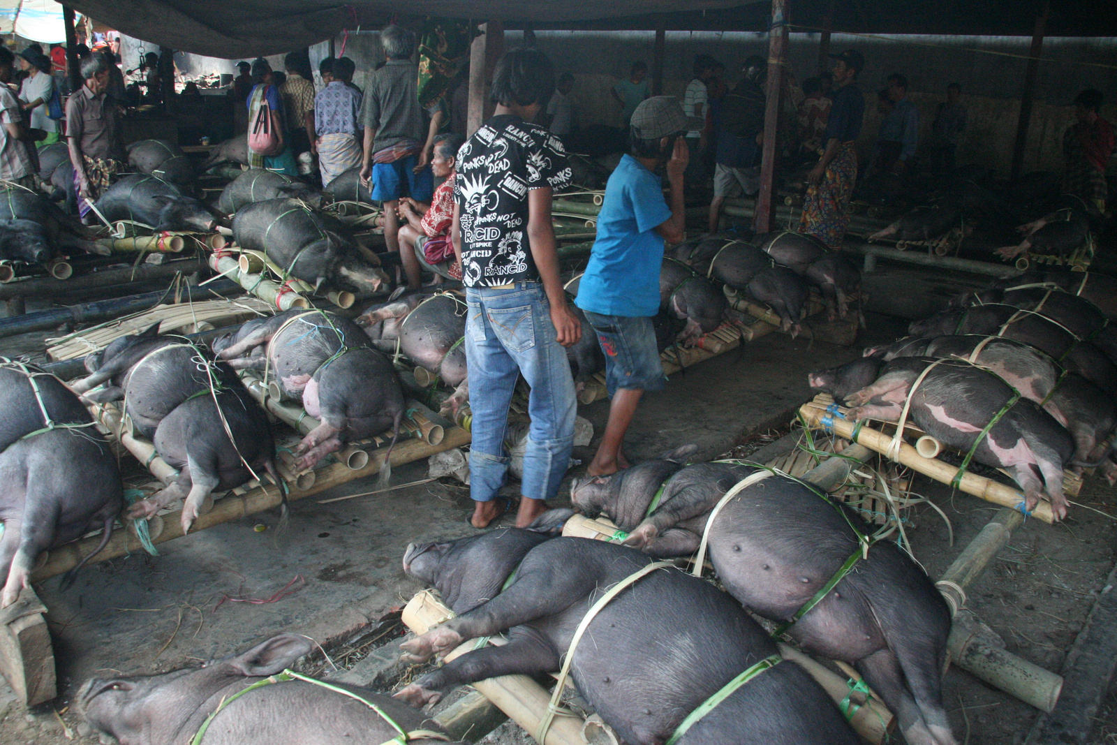 Indonézia Celebesz Sulawesi Toraja wwwpoapohu 204