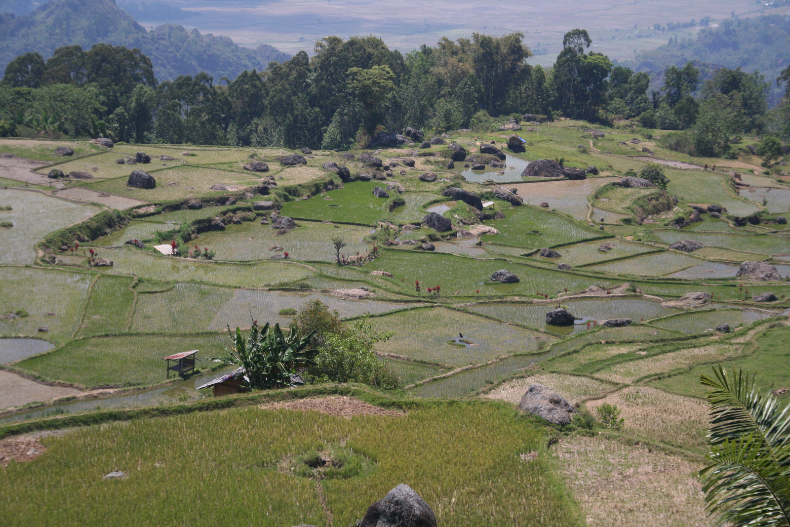 Indonézia Celebesz Sulawesi Toraja wwwpoapohu 636