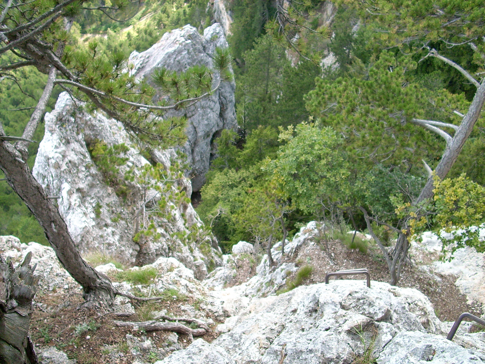 Wildenauersteig Via Ferrata 1 20090906