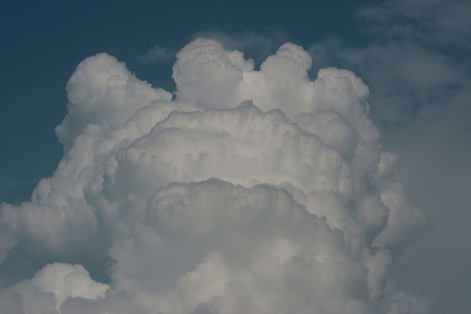 Cumulus congestus