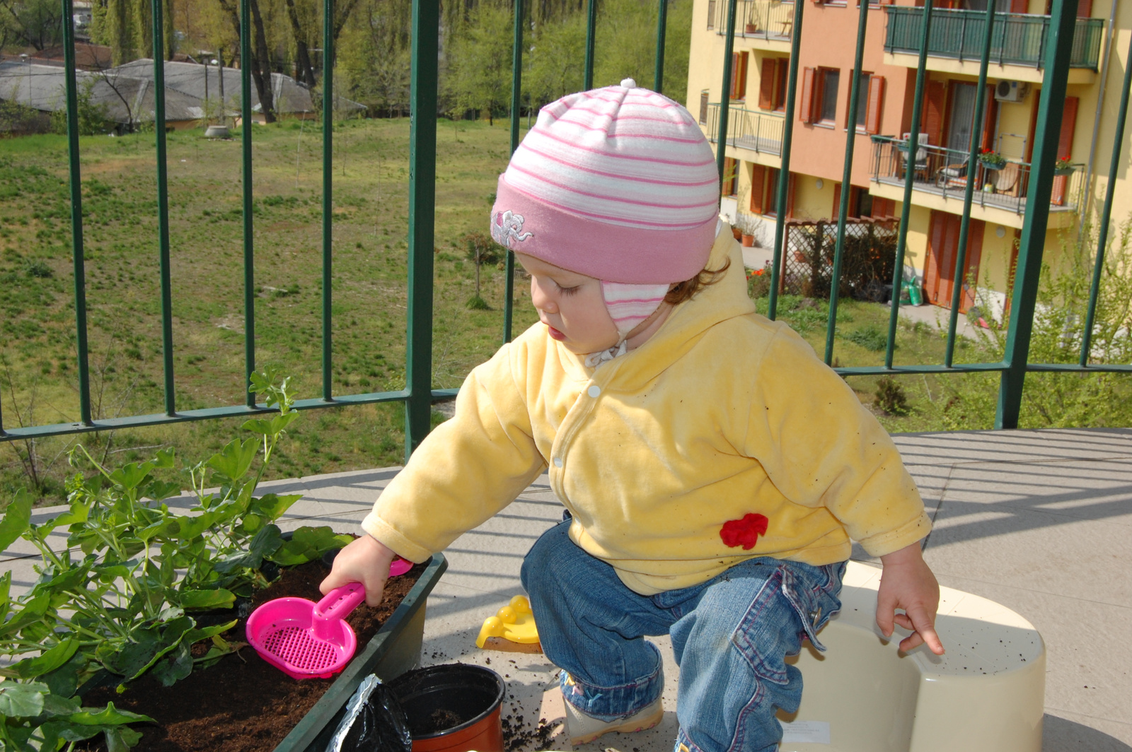 Zsófika 19. hónapja 0417 (15)