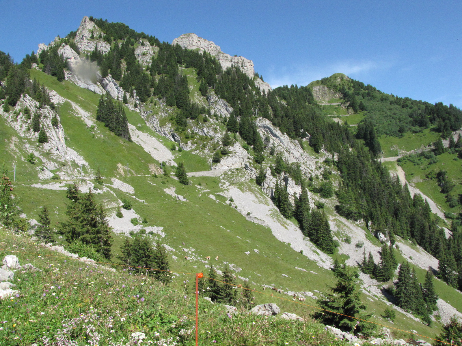 Svájc, Jungfrau Region, Schynigeplatte Bahn, SzG3