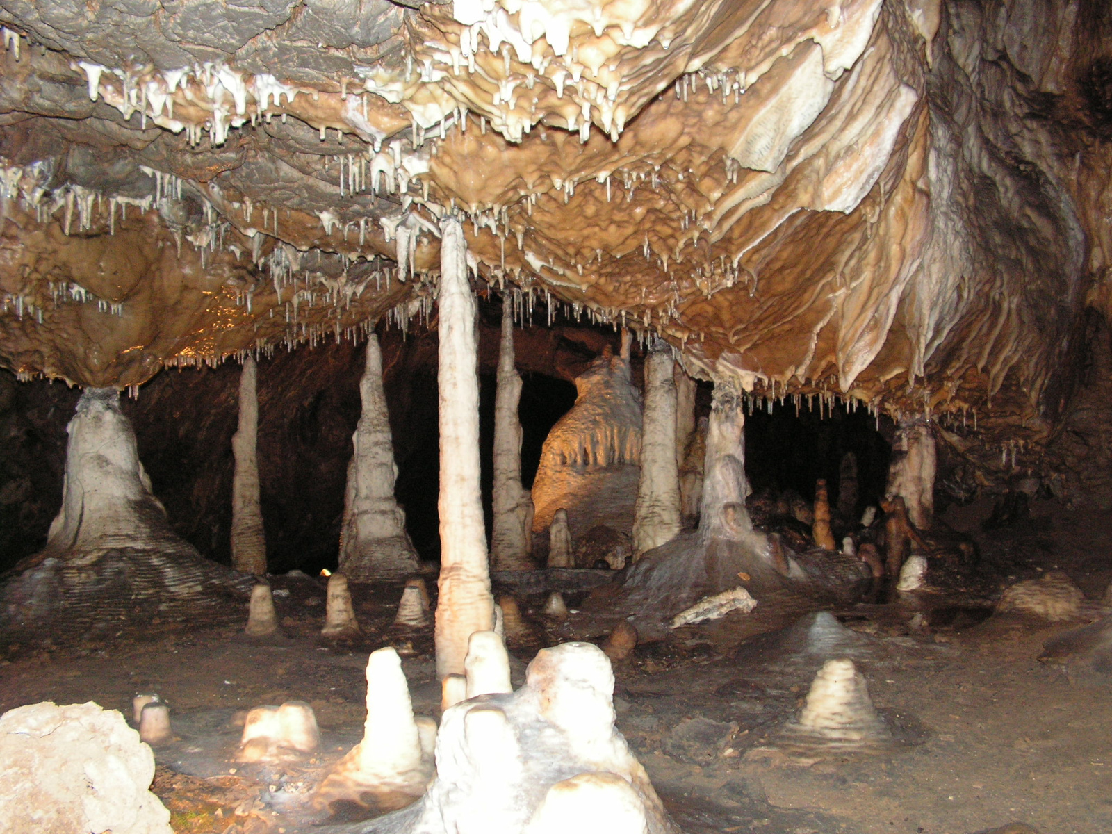 Csehország, Morva karszt, Sloupi-Sosuvski barlang, SzG3