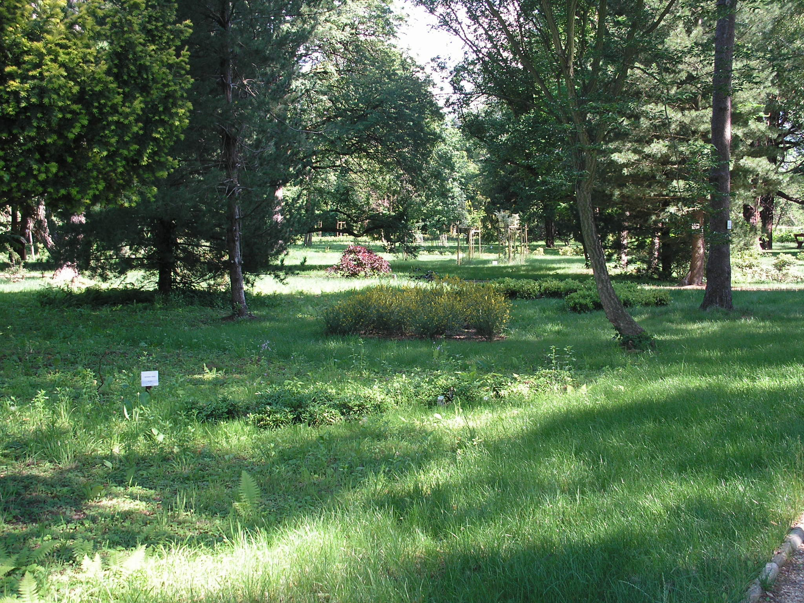 Szombathely, Kámoni arborétum, SzG3