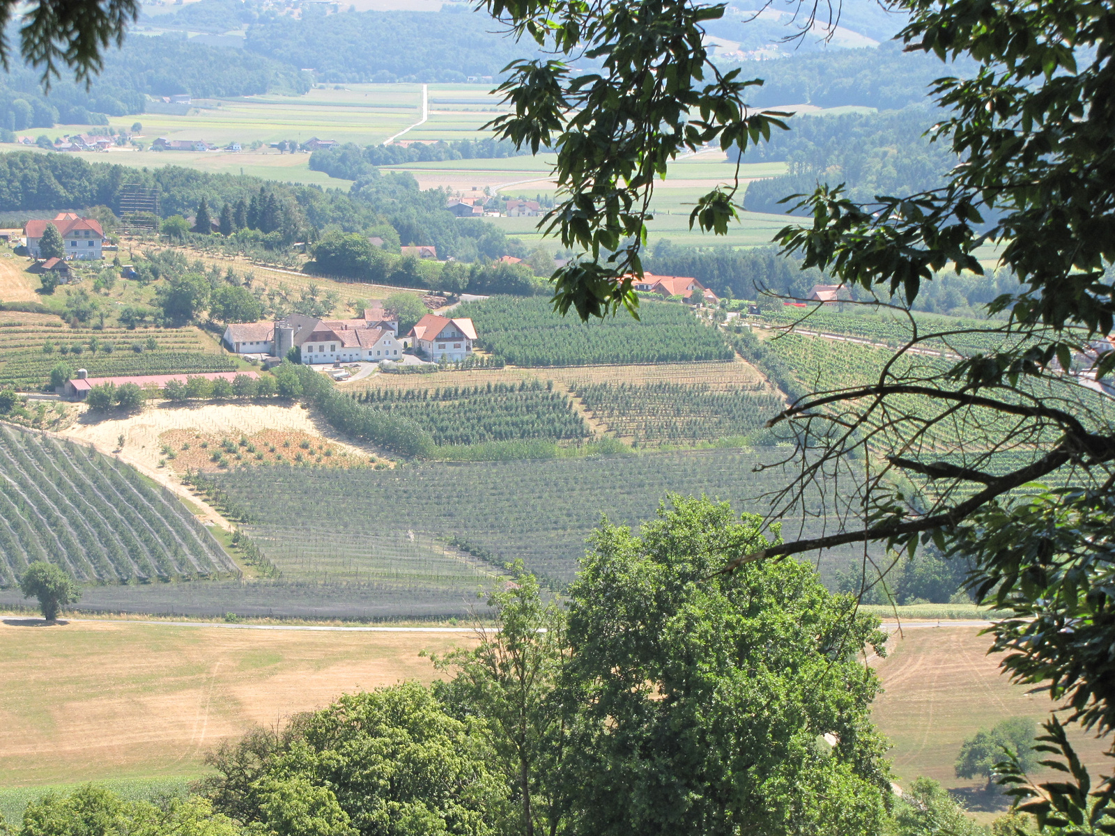 Riegersburg, a fellegvár, kilátás a vár mellől, SzG3