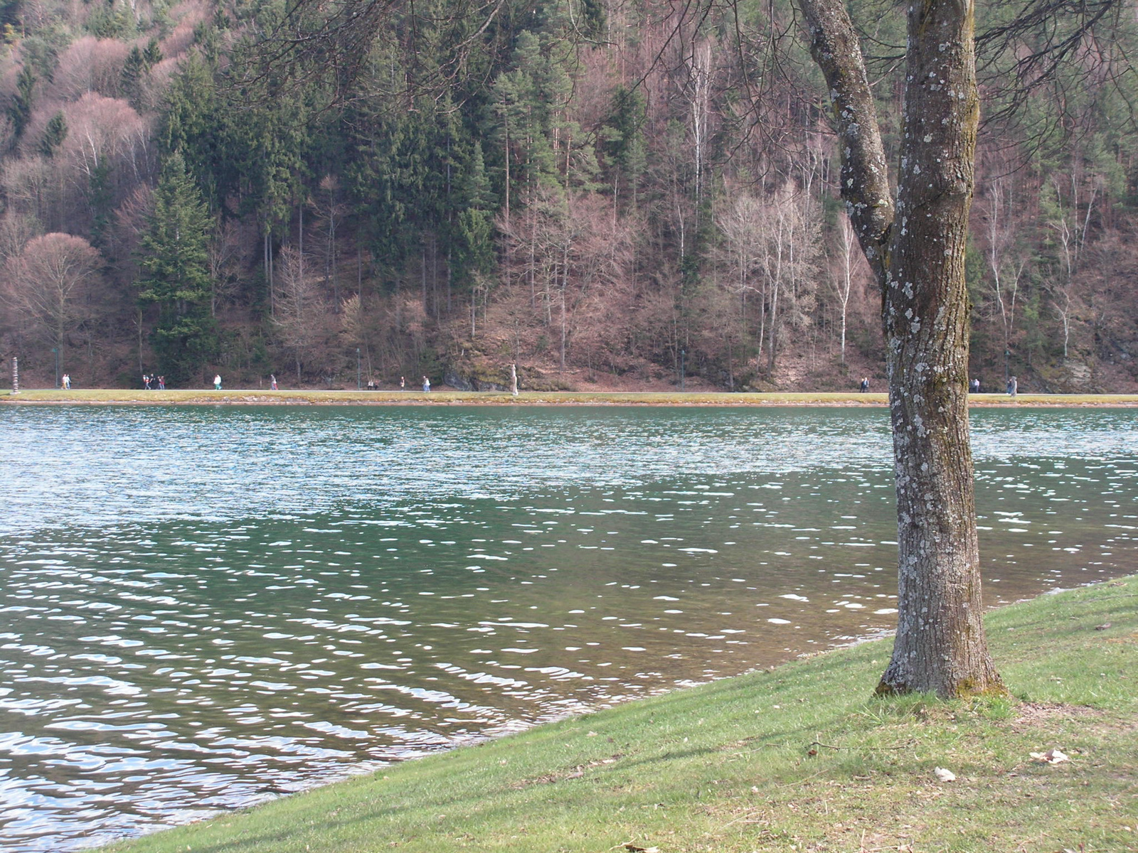 Stubenberg am See, Stubenbergsee, SzG3