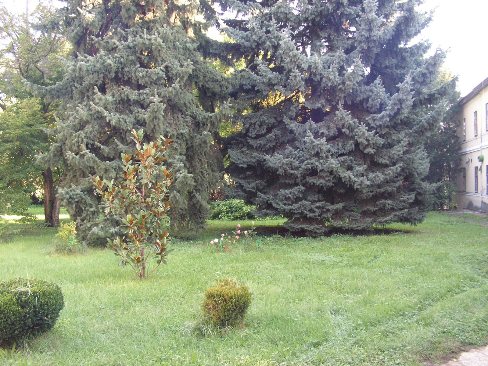 Fót, Károlyi kastély parkja, SzG3