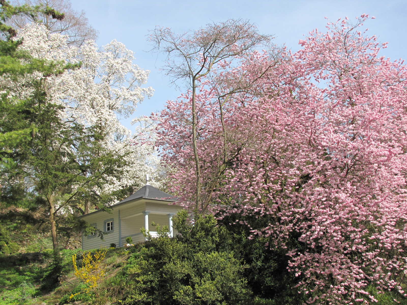 Kassel, Blumeninsel Siebenbergen, SzG3