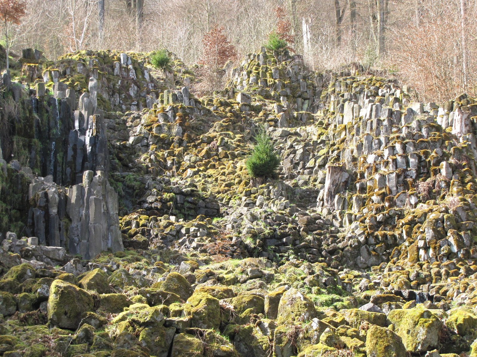 Kassel, Bergpark Wilhelmshöhe, Steinhöfer Wasserfall, SzG3