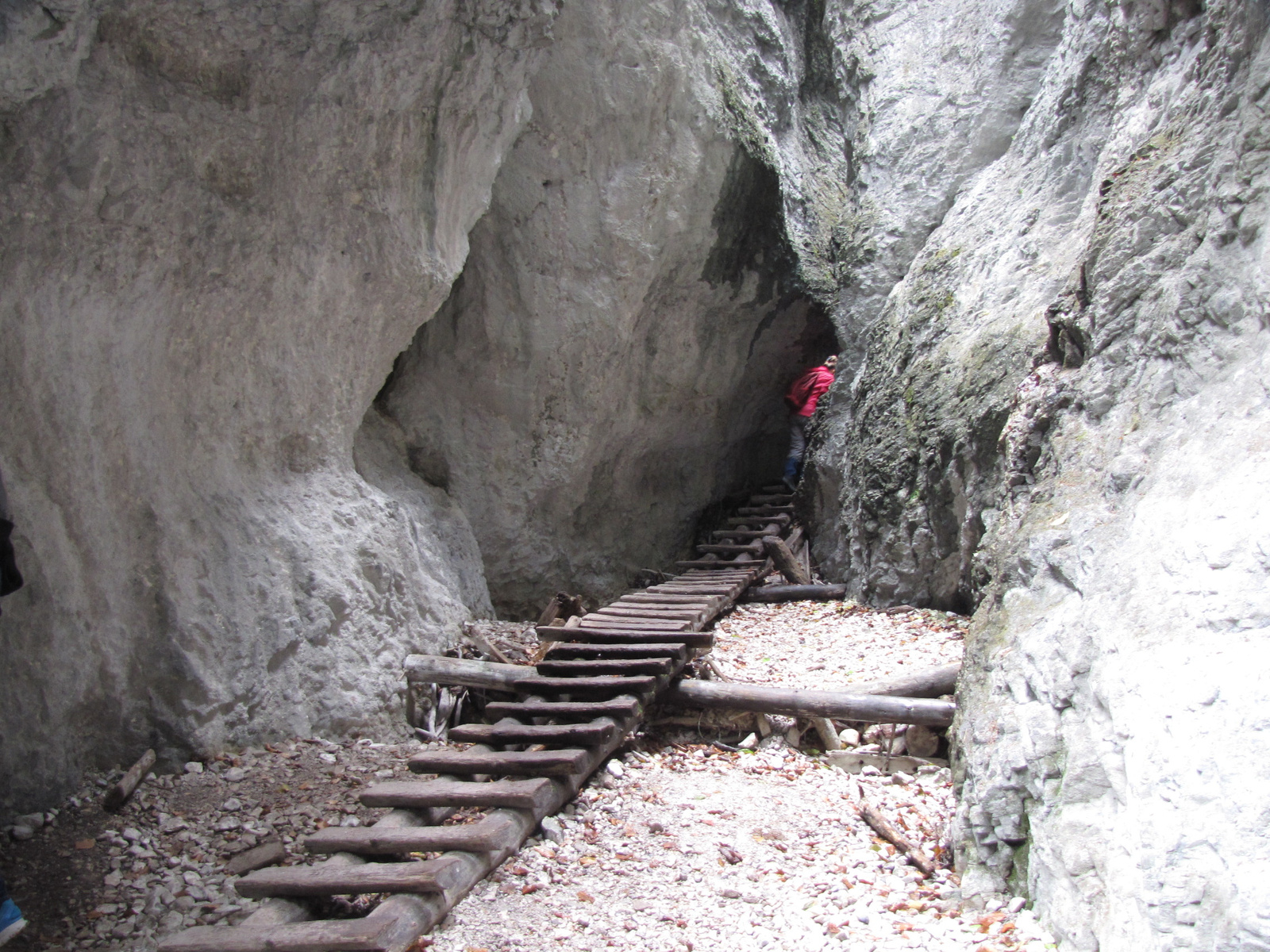 a Szlovák Paradicsom, a Suchá Belá szurdok, SzG3