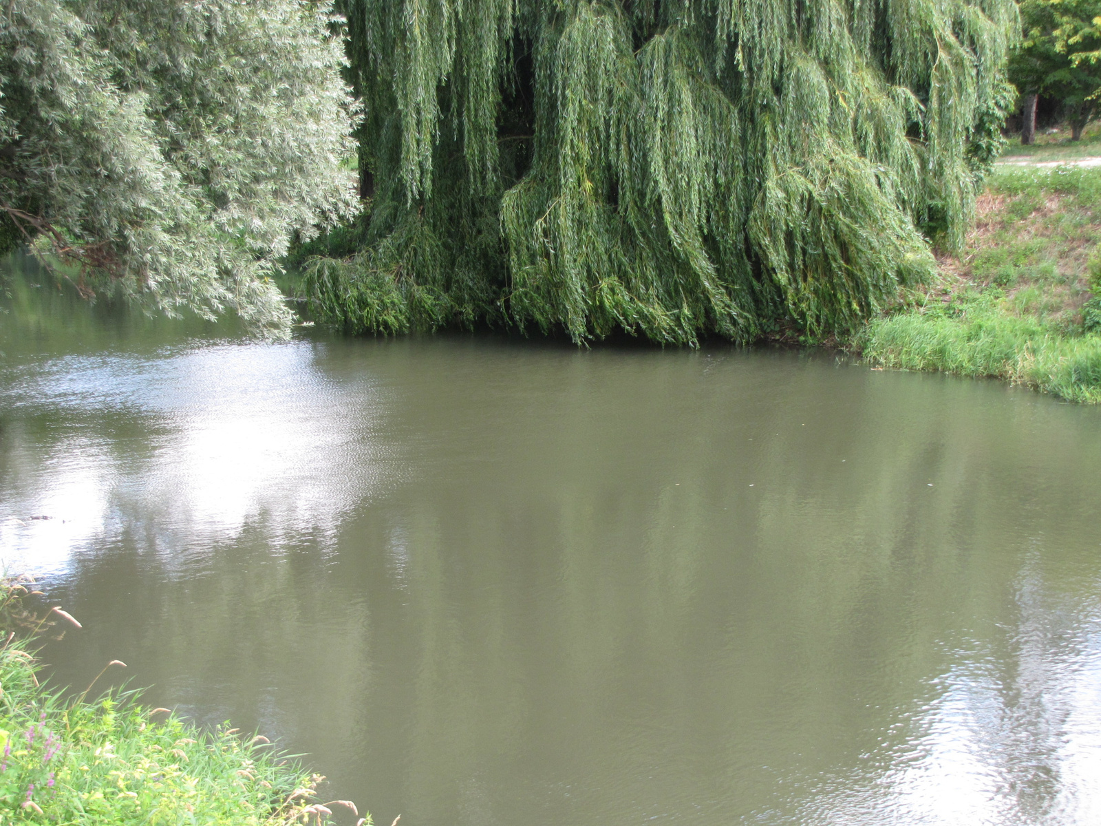 Lednice, a kastély parkja