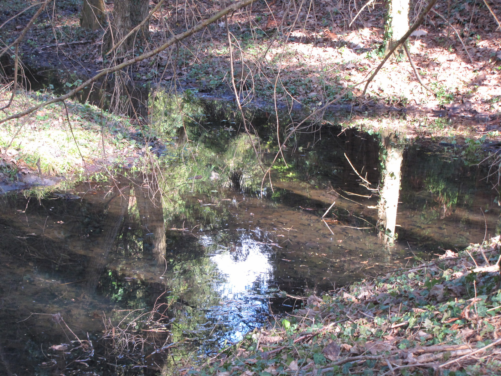 Zalaegerszeg, a csácsbozsoki Arborétum, SzG3