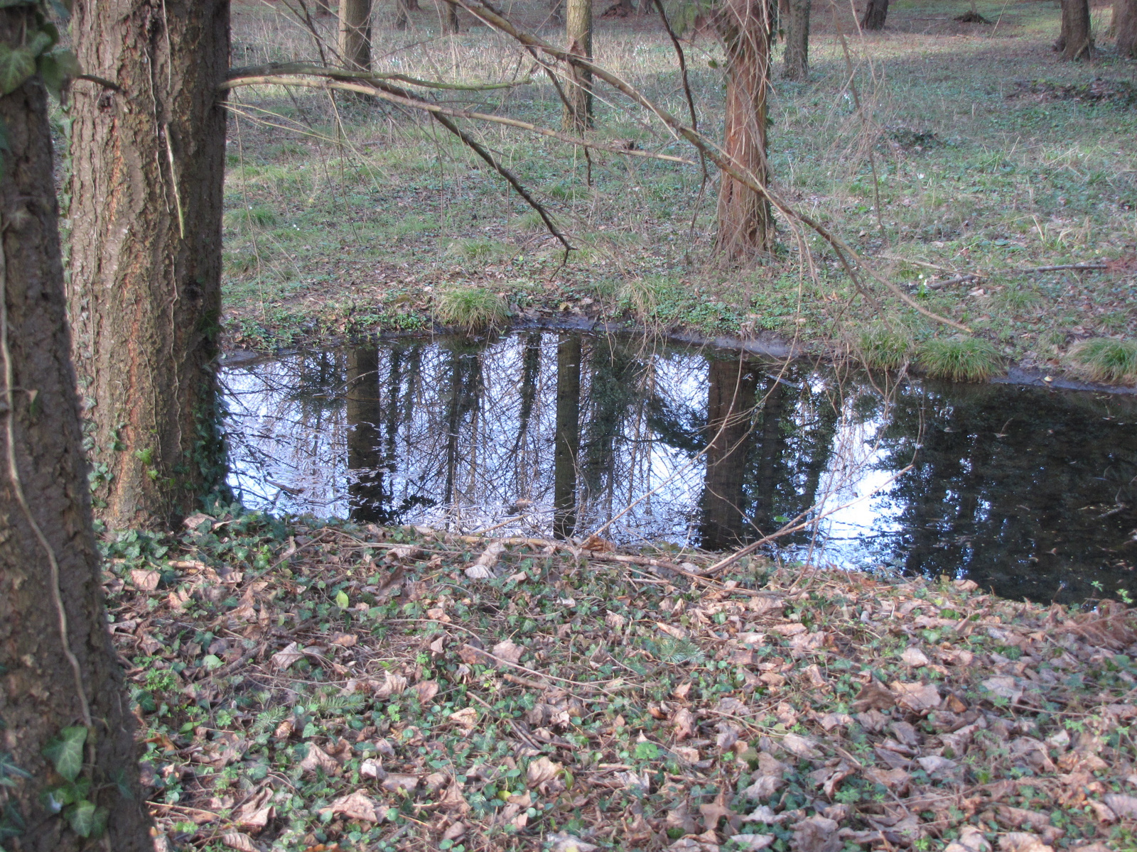 Zalaegerszeg, a csácsbozsoki Arborétum, SzG3