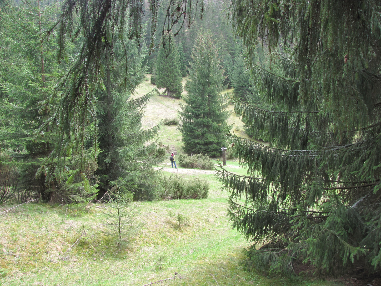 Szlovákia (Slovakia), Veľké Borové, Svorad, SzG3 SzG3