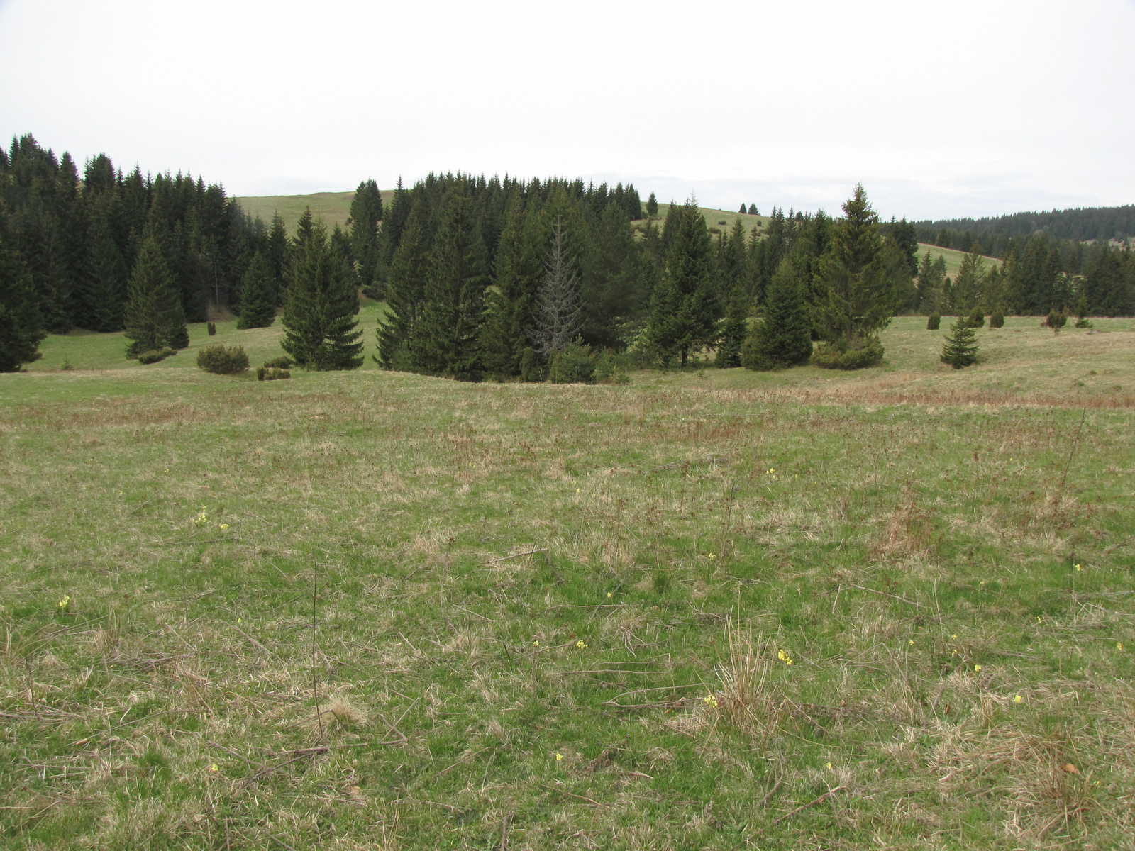 Szlovákia (Slovakia), Veľké Borové, Svorad, SzG3 SzG3