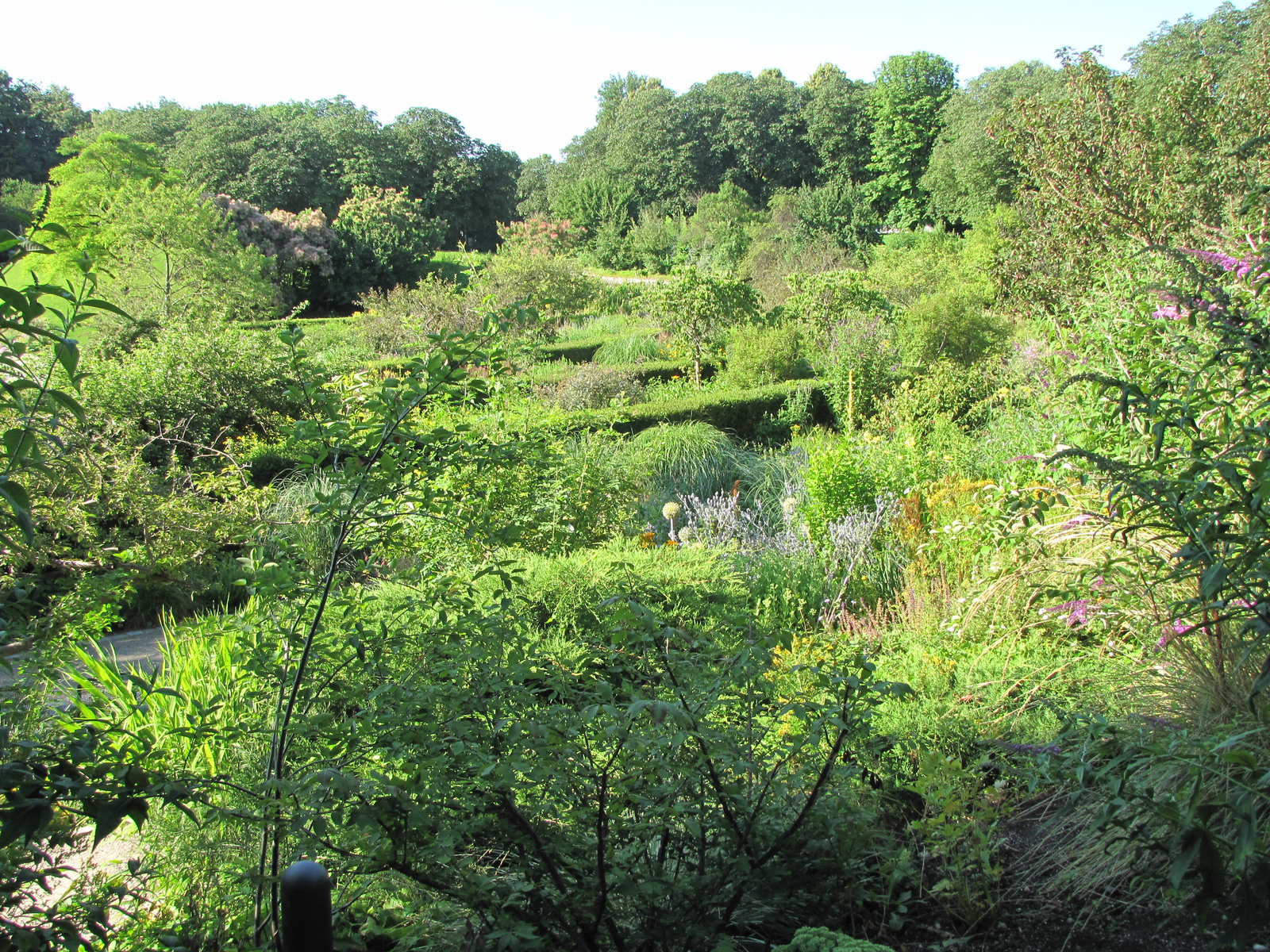 München, Westpark, Rosengarten, SzG3