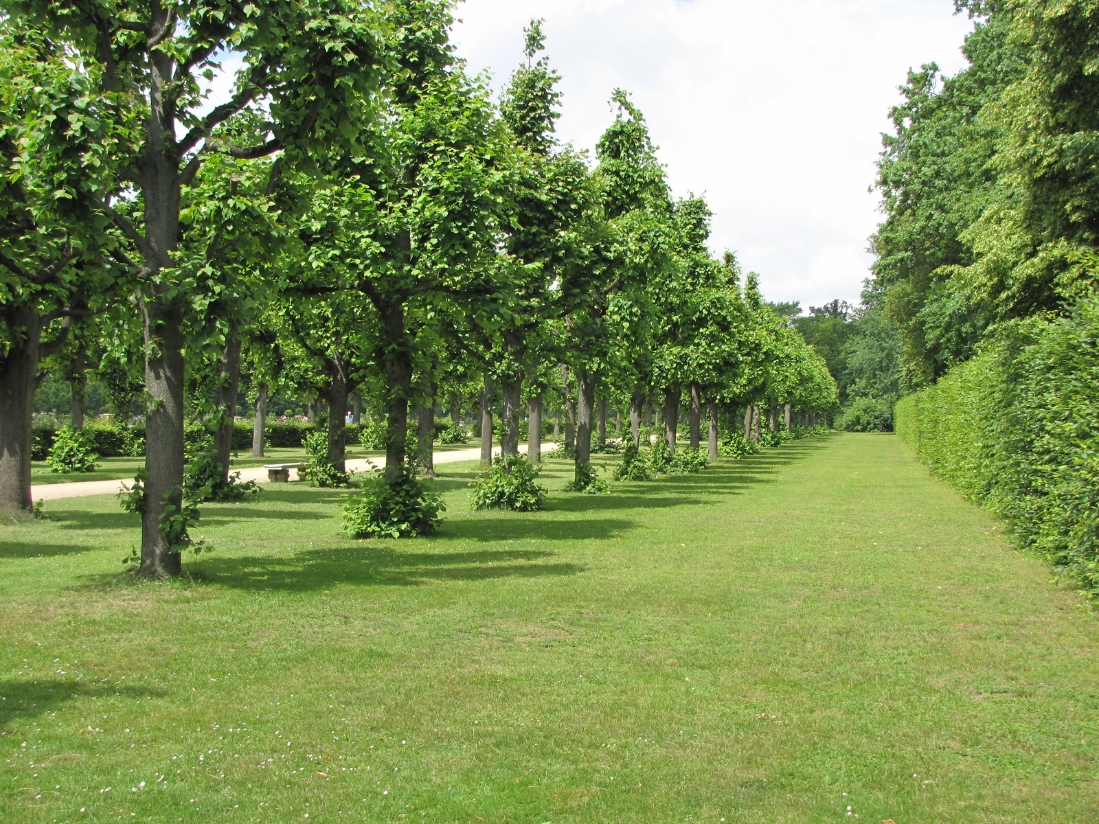 Berlin, Charlottenburg Palace, a park, SzG3