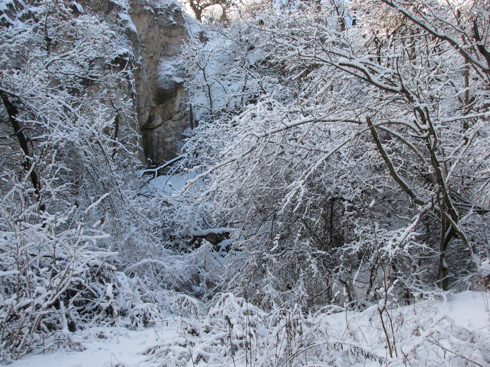 Budapest, tél a budai hegyekben, SzG3