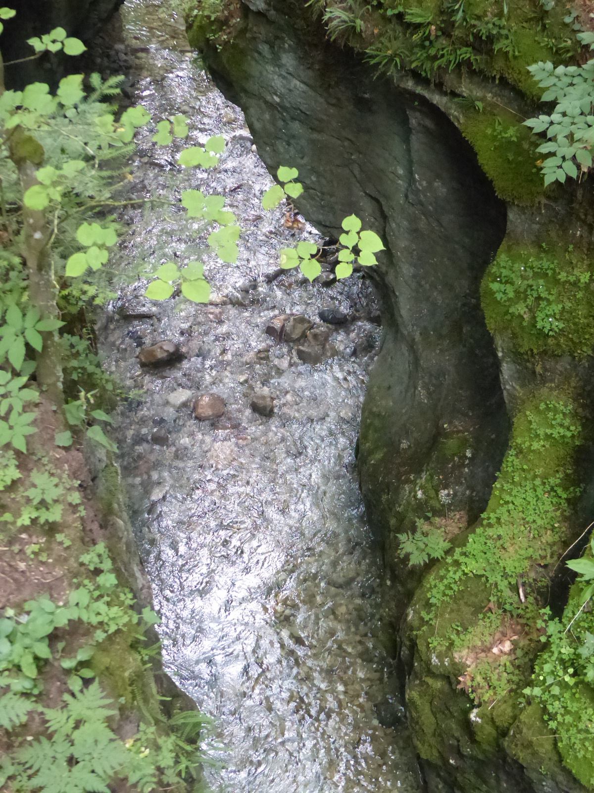 Szlovák Paradicsom, a Hernád völgye, SzG3