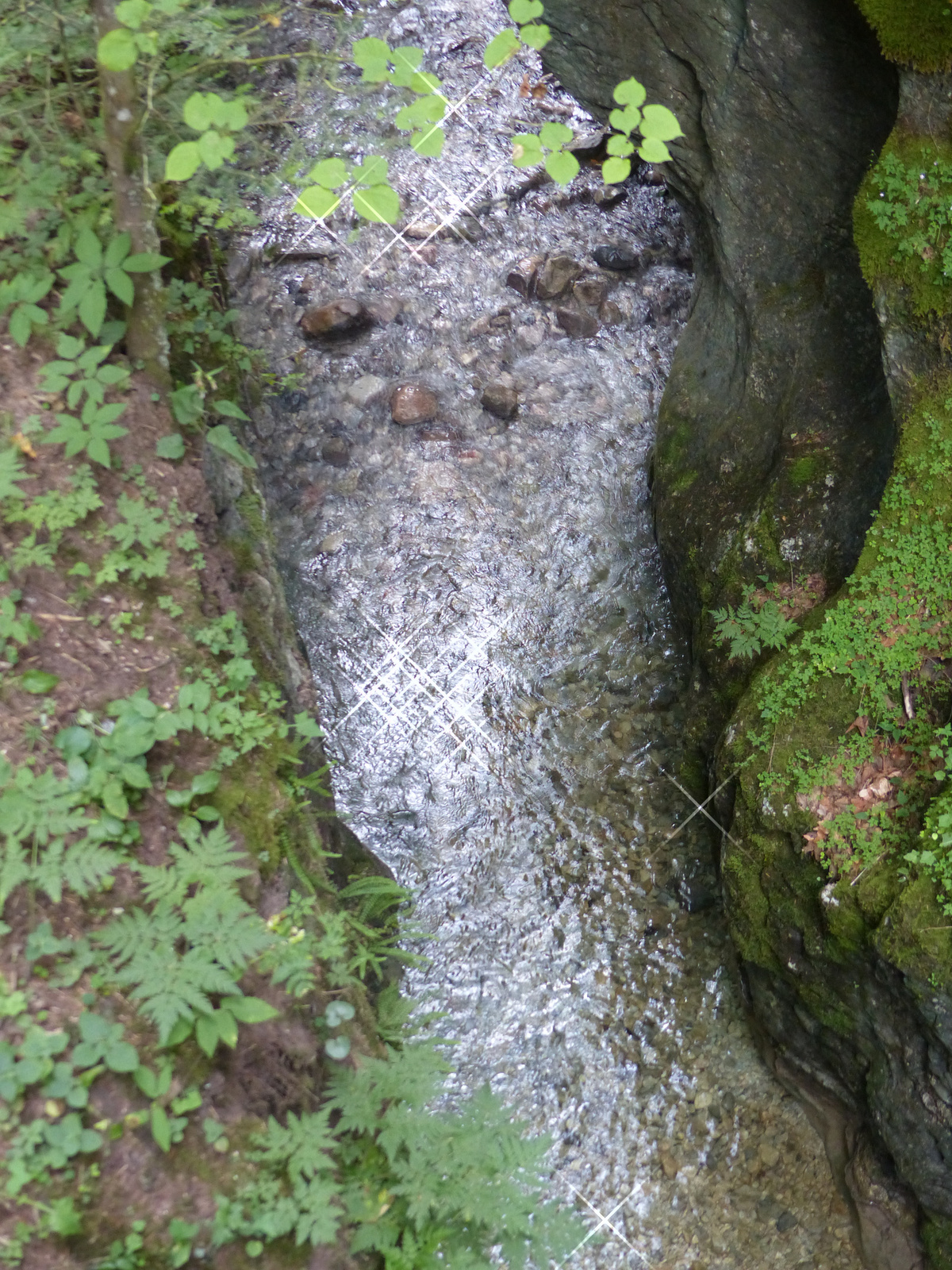 Szlovák Paradicsom, a Hernád völgye, SzG3