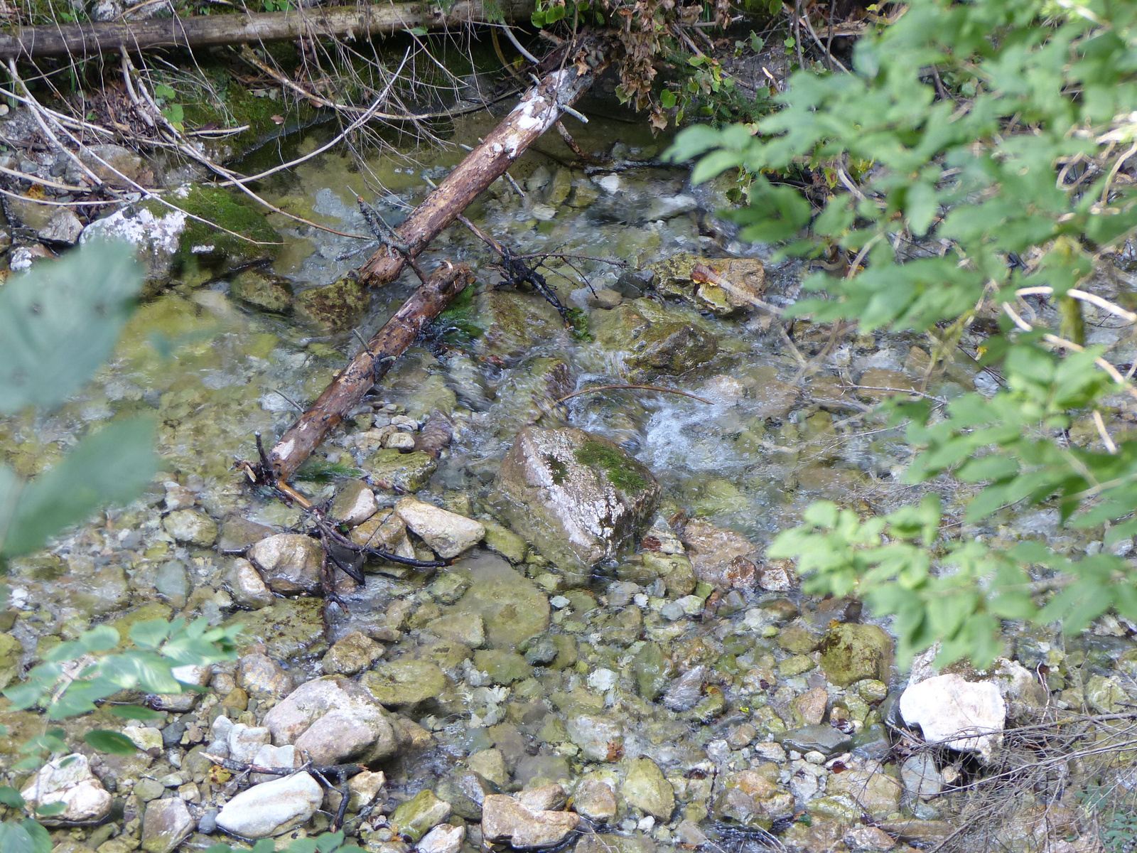 Szlovák Paradicsom, a Hernád völgye, SzG3