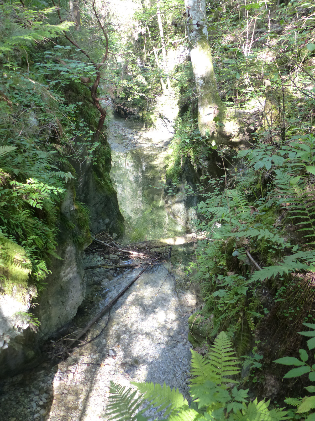 Szlovák Paradicsom, a Hernád völgye, SzG3