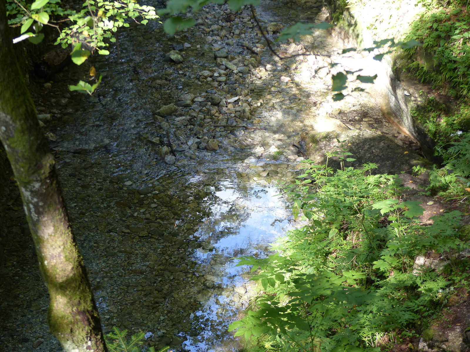 Szlovák Paradicsom, a Hernád völgye, SzG3