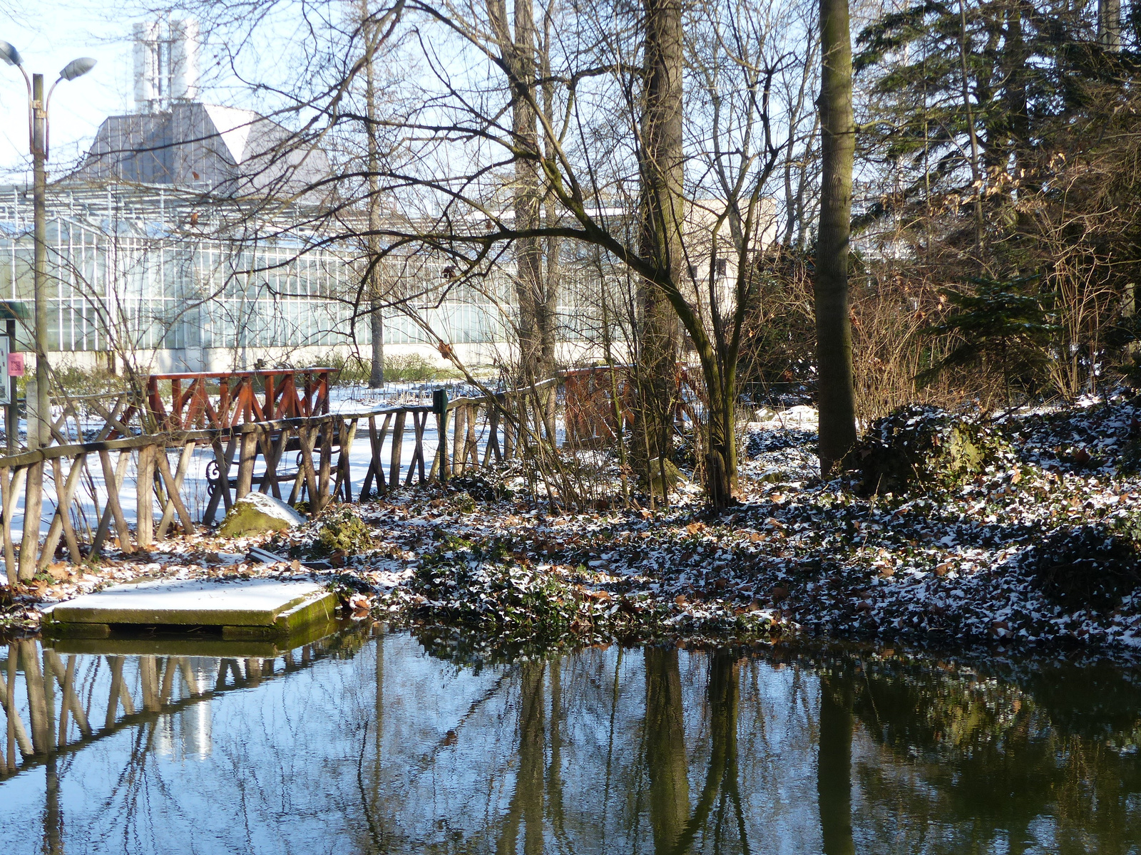 Vácrátót, az Arborétum télen, SzG3