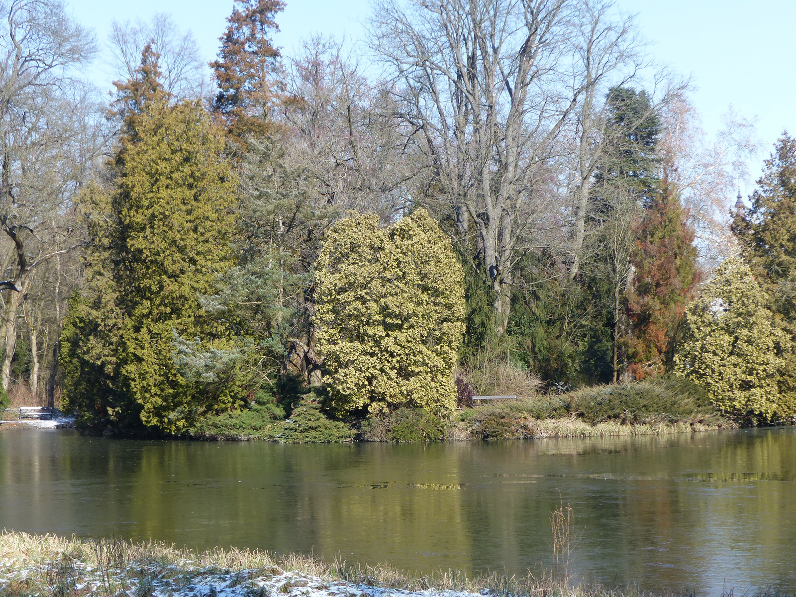 Vácrátót, az Arborétum télen, SzG3