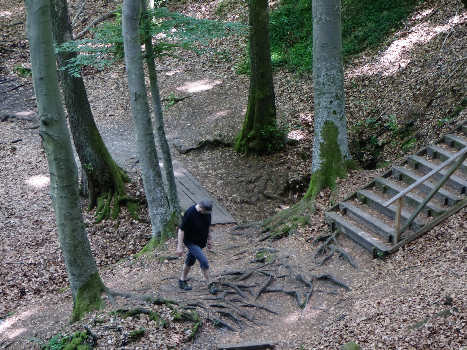 Magyarország, Kám, a Jeli Arborétum (Varázskert), SzG3