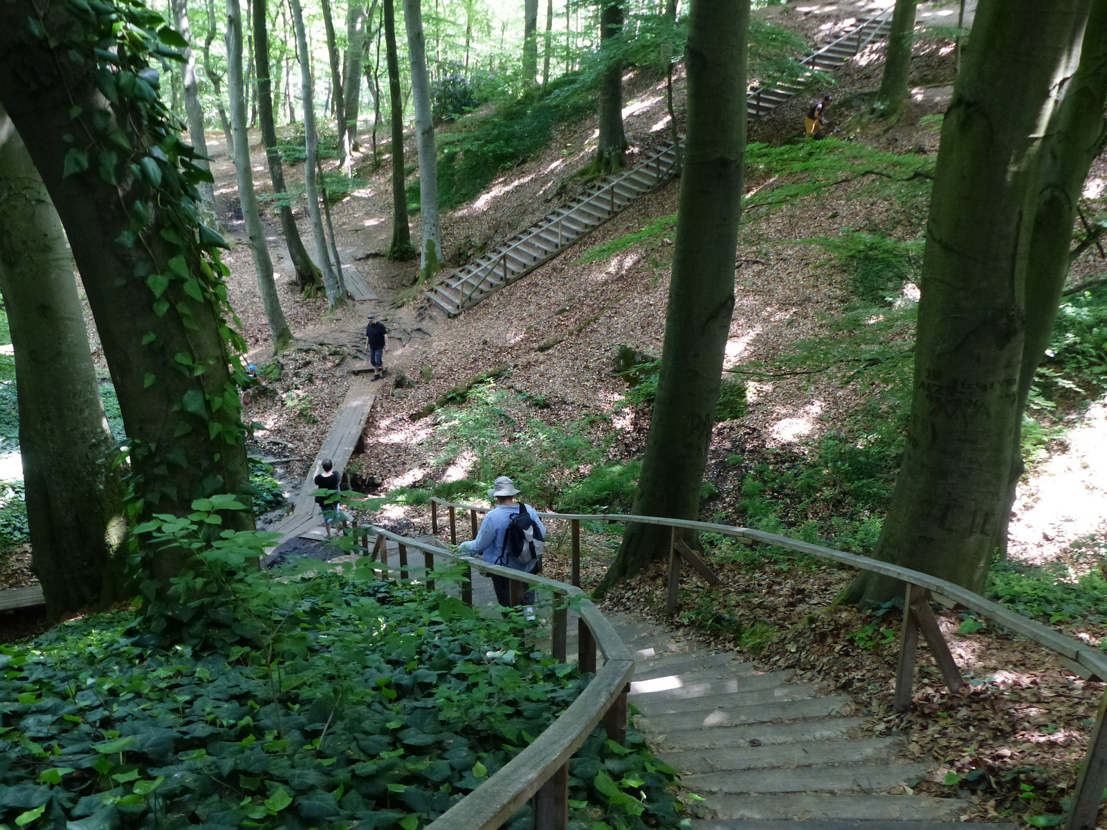 Magyarország, Kám, a Jeli Arborétum (Varázskert), SzG3