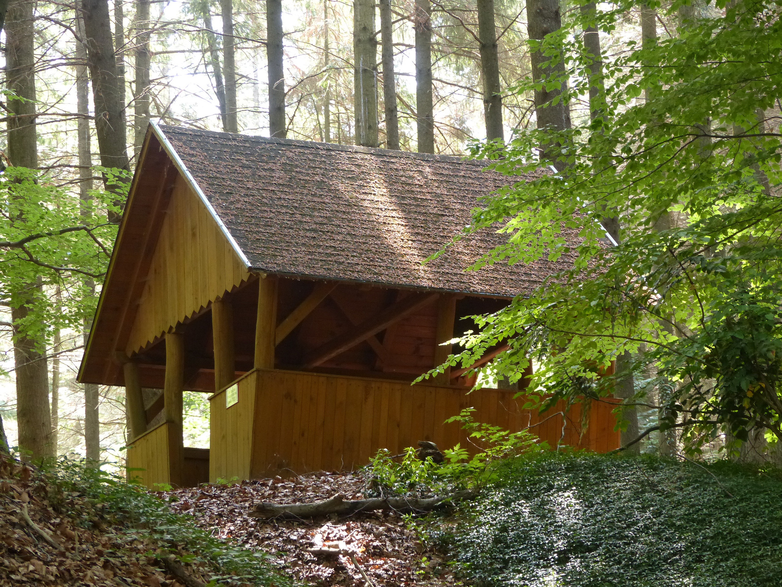 Magyarország, Kám, a Jeli Arborétum (Varázskert), SzG3