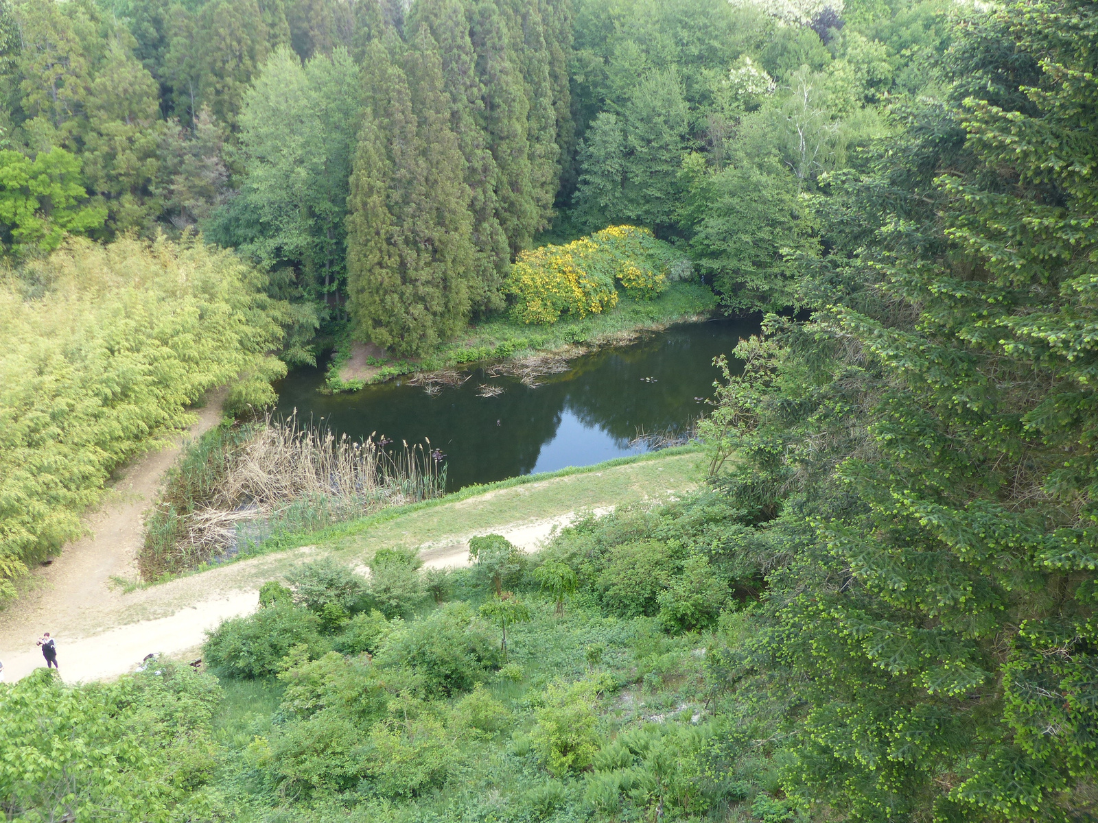 Magyarország, Kám, a Jeli Arborétum (Varázskert), SzG3