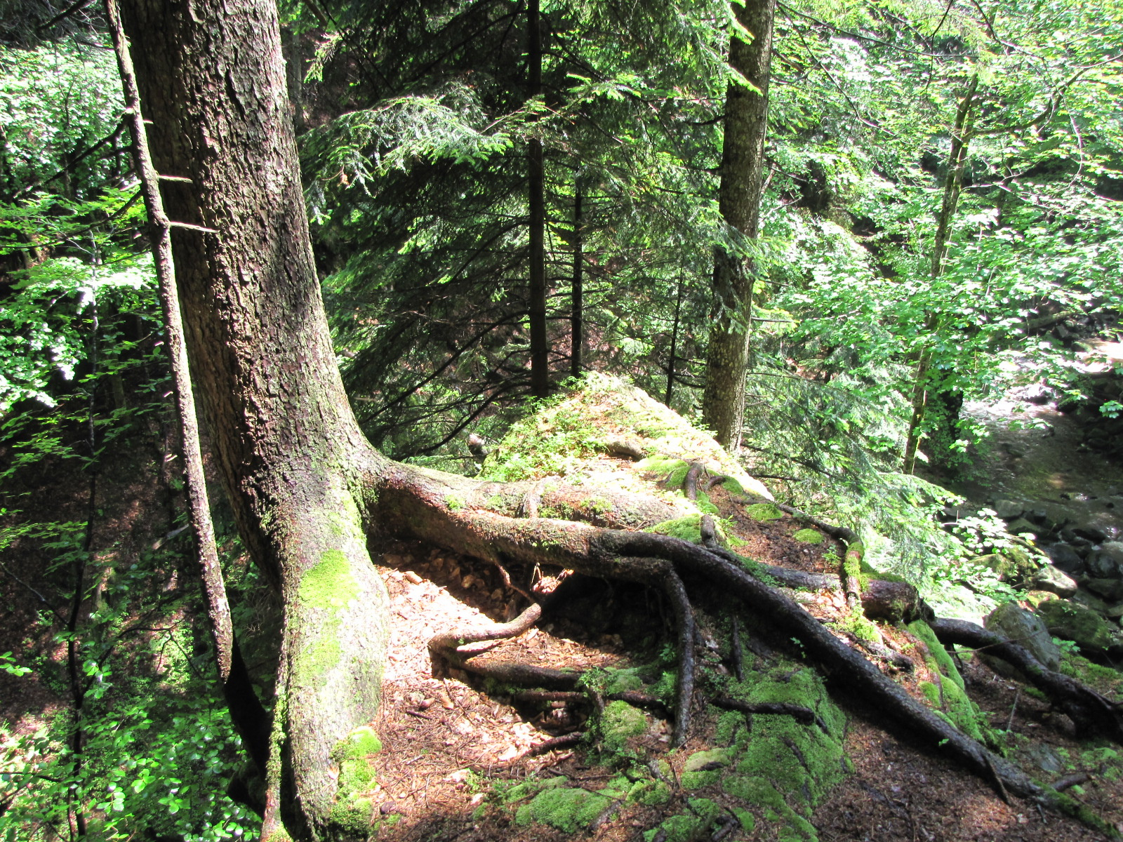 Planina pod Šumikom, Lobnica patak szurdoka, SzG3