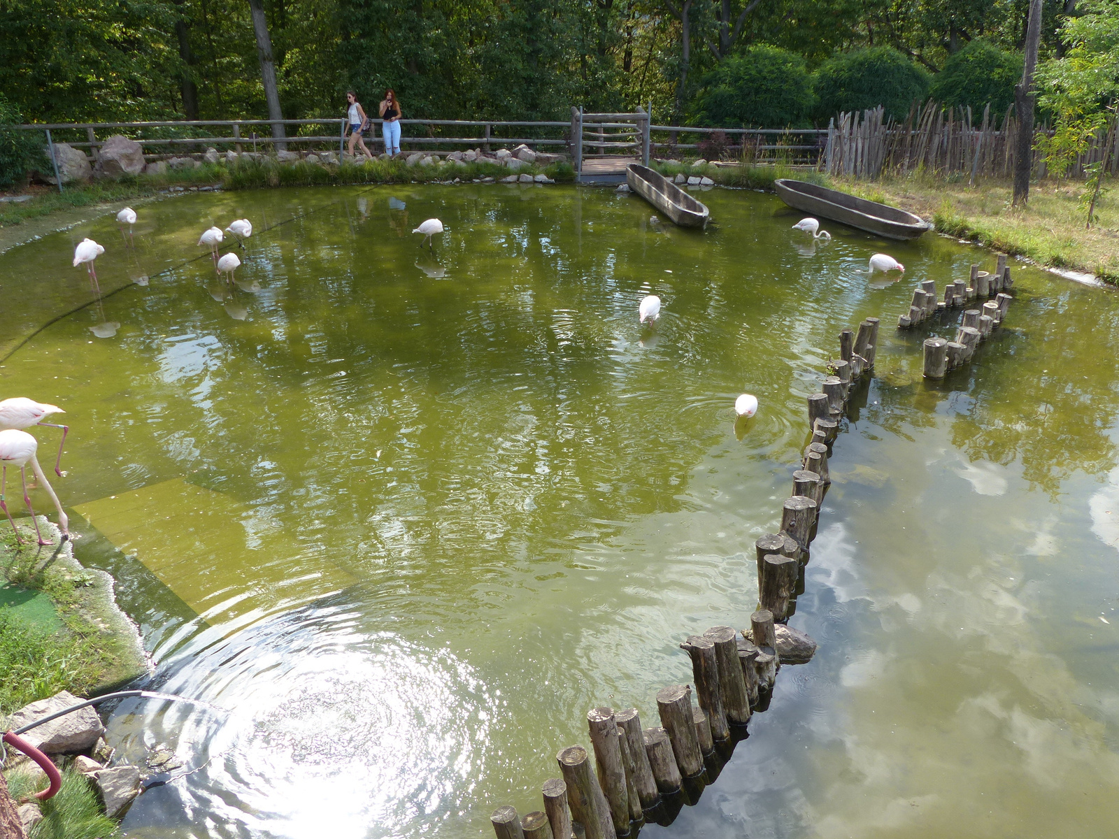 Brno, Zoo (Brünn, az Állatkert), SzG3