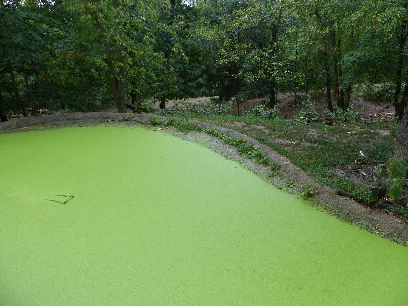 Brno, Zoo (Brünn, az Állatkert), SzG3