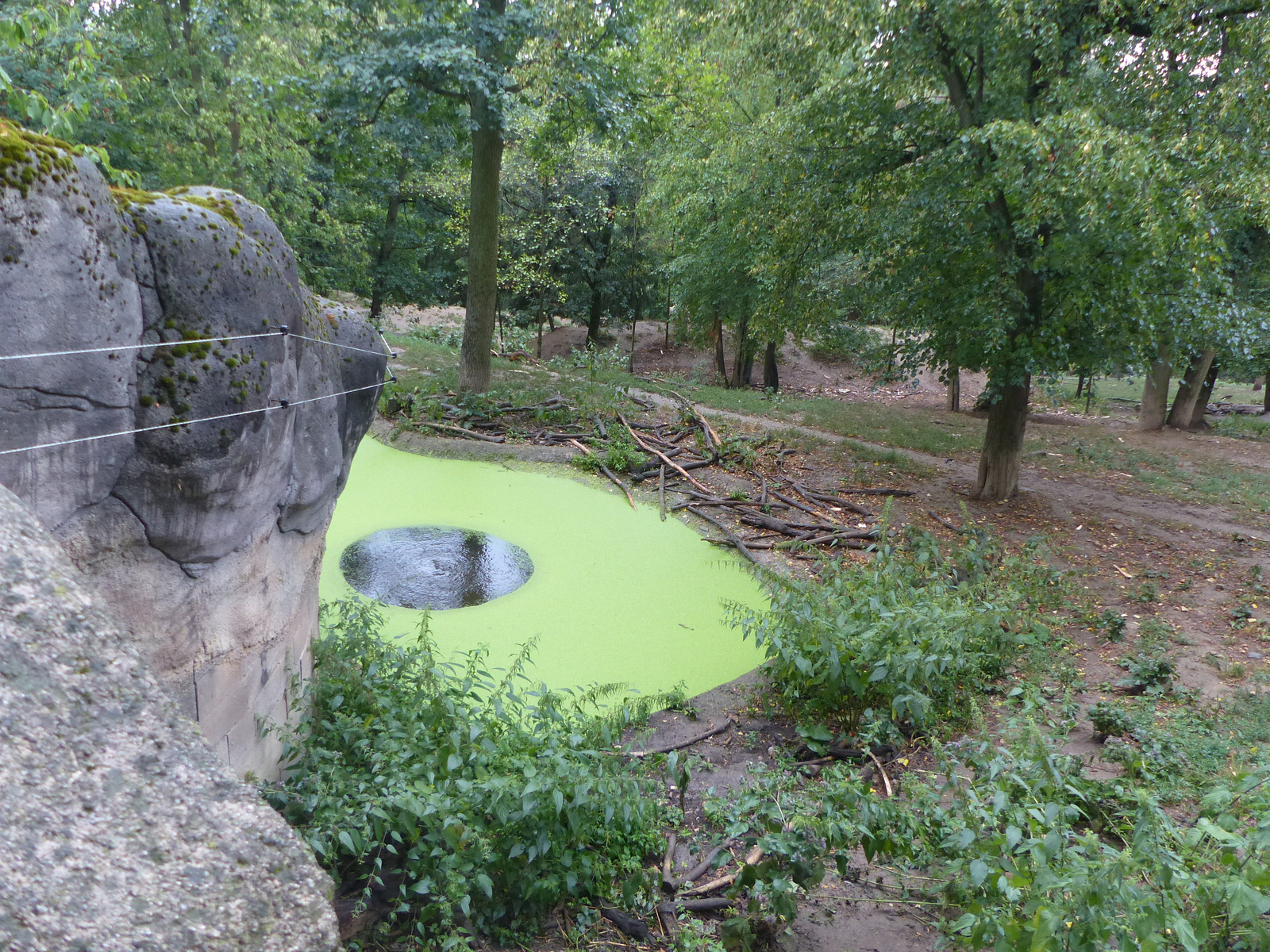 Brno, Zoo (Brünn, az Állatkert), SzG3