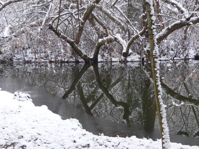 Vácrátót, az Arborétum, SzG3